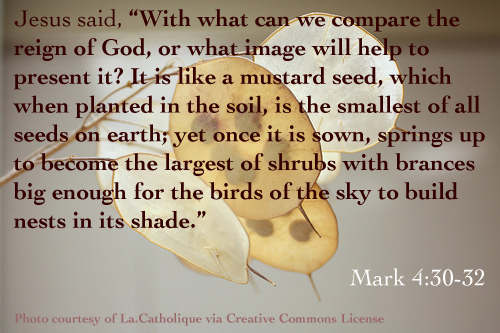 Mark 4:30-32 and image of a mustard seed